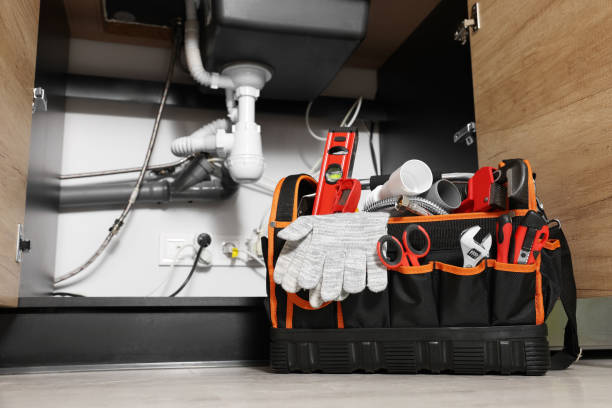 Best Plumbing Inspection Services  in Muleshoe, TX