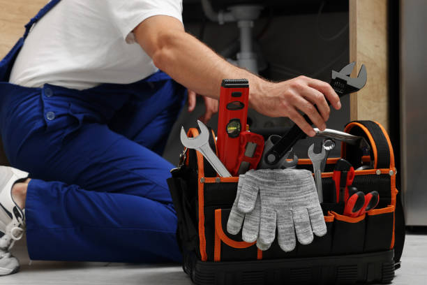 Best Plumbing Services Near Me  in Muleshoe, TX